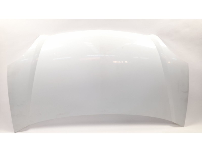 Recambio de capot para nissan kubistar (x76) 1.5 dci referencia OEM IAM   